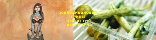 таблы Пролетарск