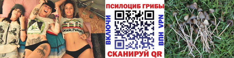 Галлюциногенные грибы Psilocybe  что такое наркотик  Кувандык 